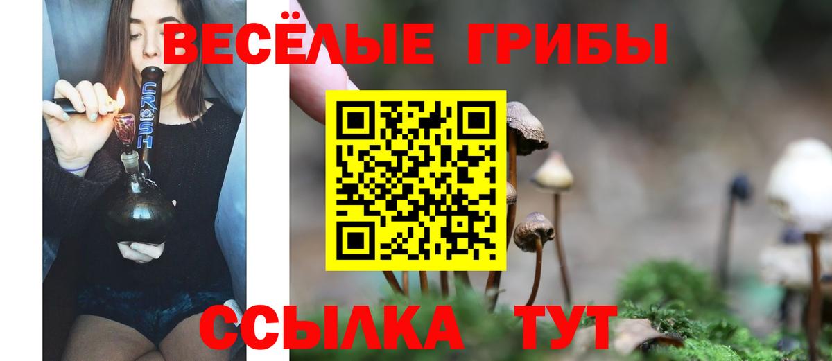 Тимашёвск  Галлюциногенные грибы прущие грибы  Вход с VPN 